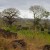 ACACIA Workshop: Environmental transition of the Iron Age in Africa